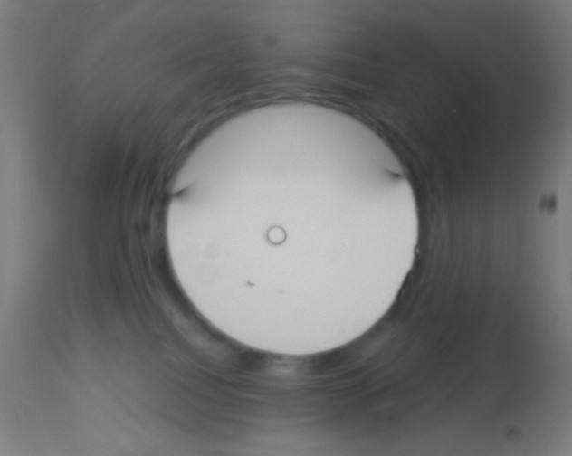 X0000113180088200910161342