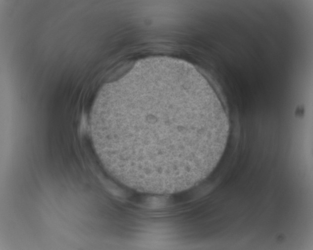 X0000113180089200910161342