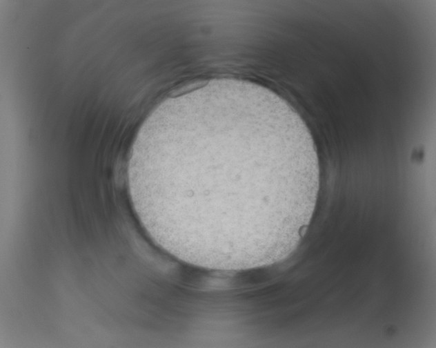 X0000113180090200910161342