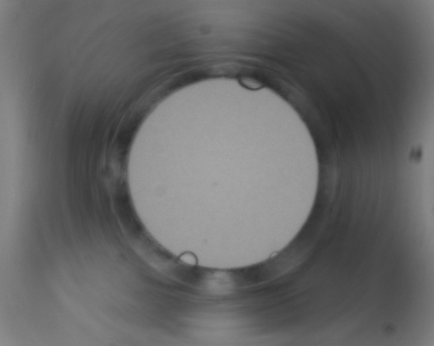 X0000113180091200910161342