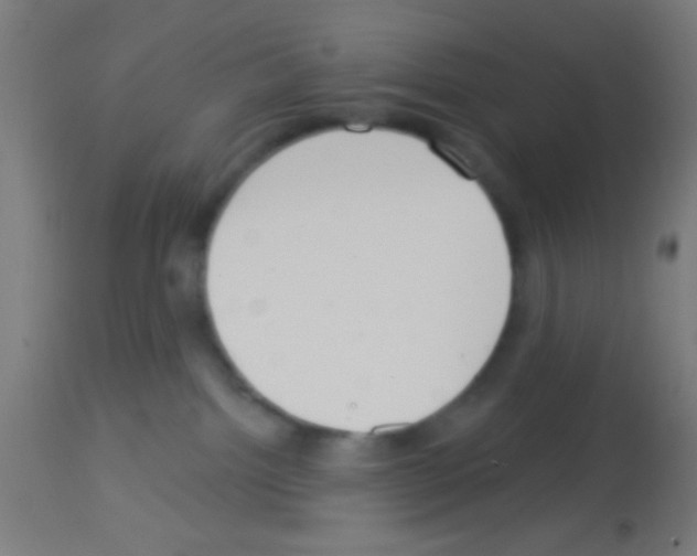 X0000113180092200910161342
