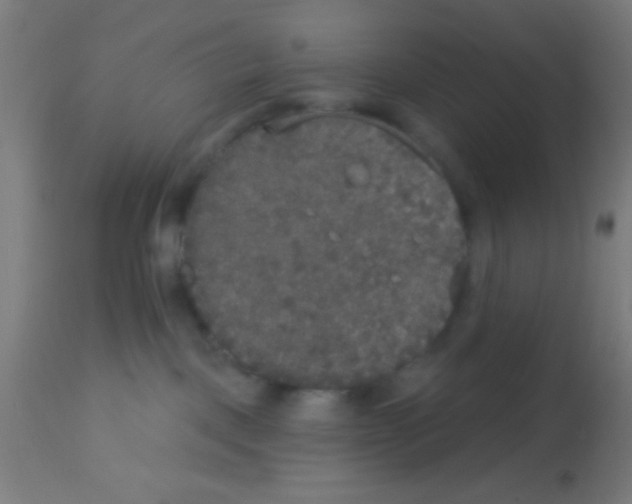 X0000113180093200910161342