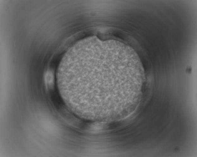 X0000113180094200910161342