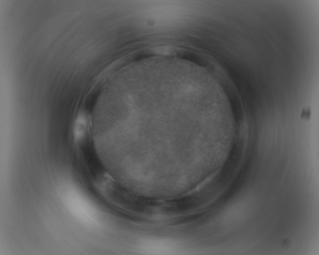 X0000113180095200910161342