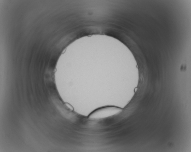 X0000113180096200910161342