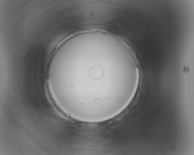 X0000113180097200910161341