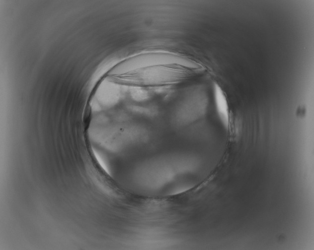 X0000113180099200910161341
