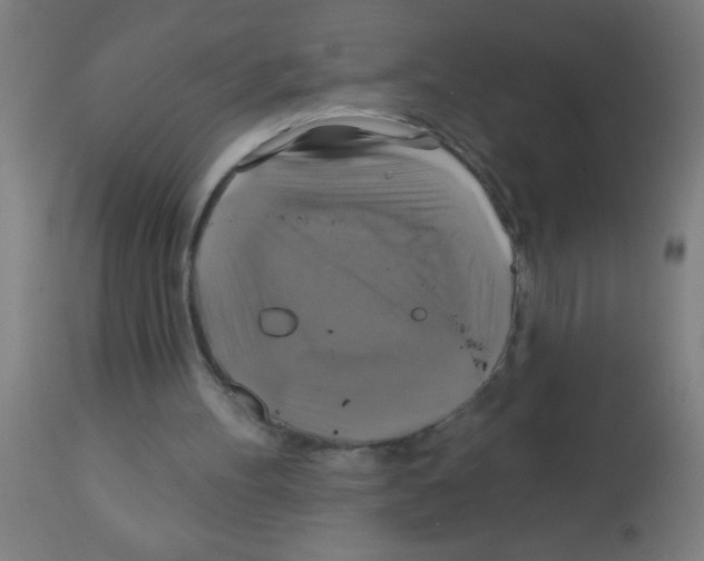 X0000113180100200910161341
