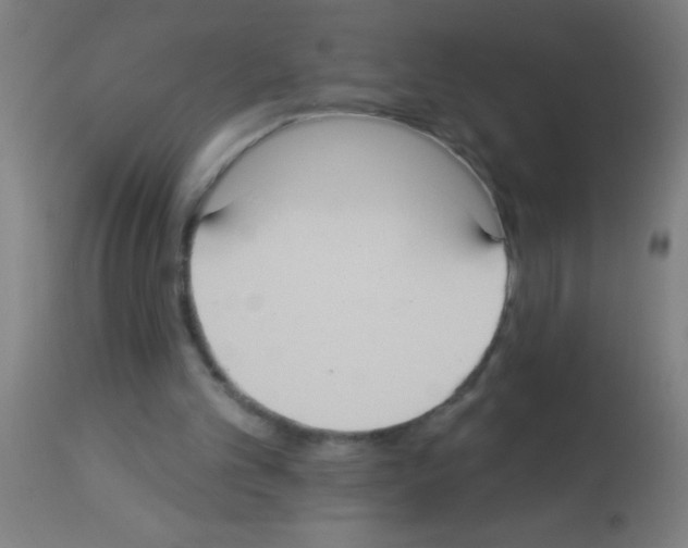 X0000113180101200910161341