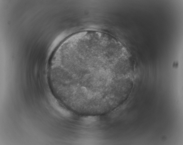 X0000113180102200910161341