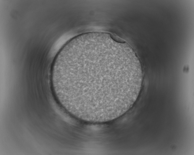 X0000113180103200910161341