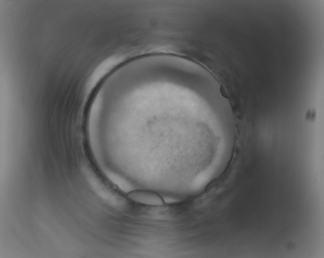 X0000113180104200910161341