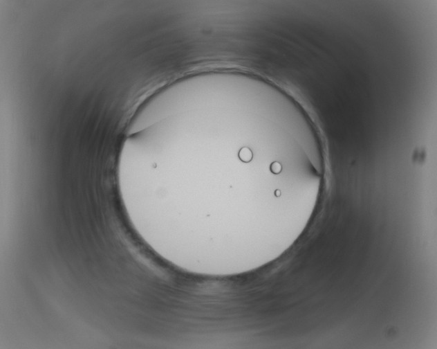 X0000113180105200910161341