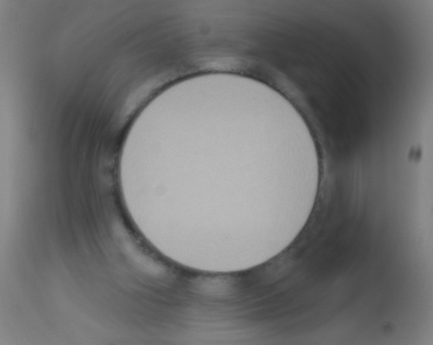 X0000113180106200910161341