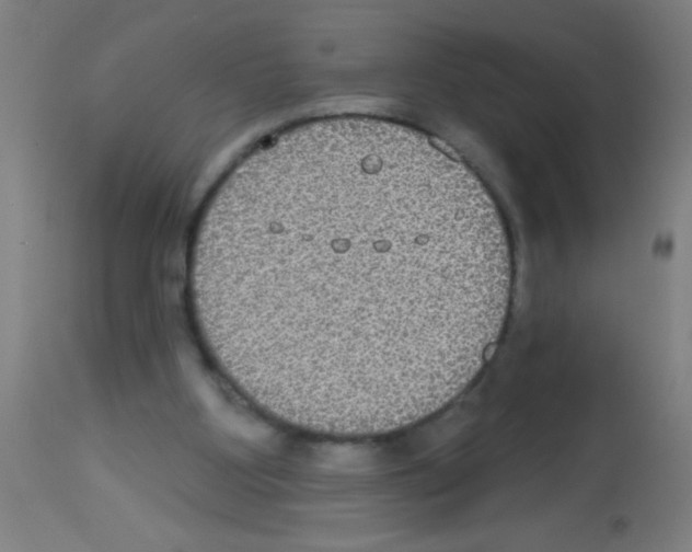 X0000113180107200910161341
