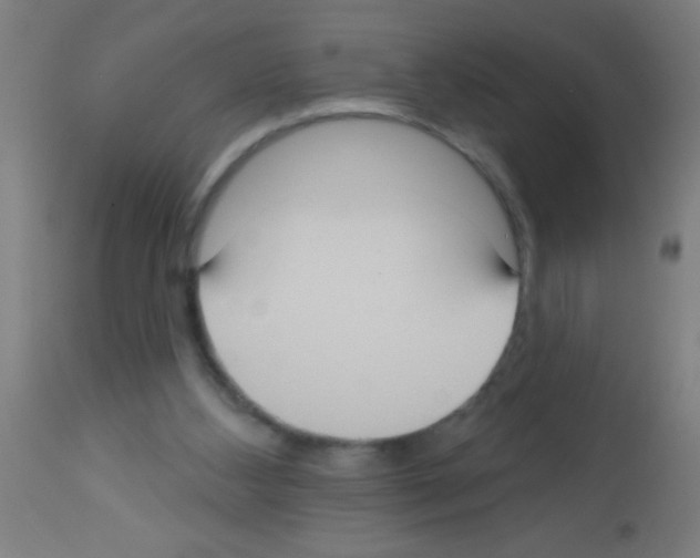 X0000113180108200910161341