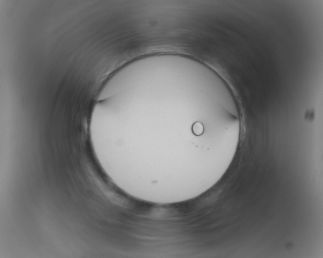 X0000113180109200910161341