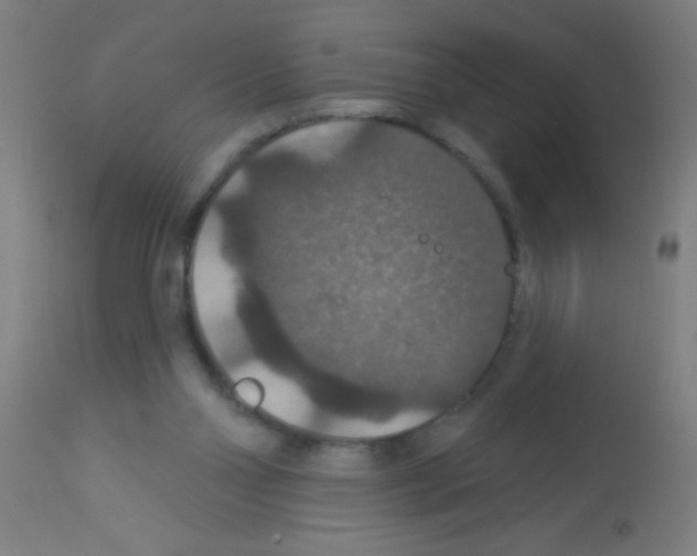 X0000113180110200910161341
