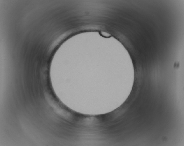 X0000113180112200910161341