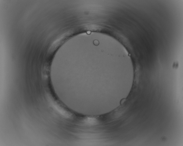 X0000113180114200910161341