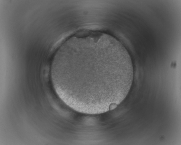 X0000113180115200910161341