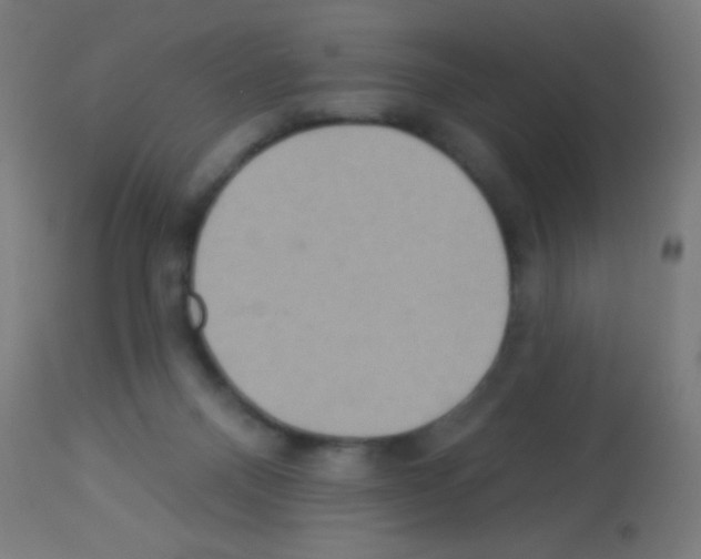 X0000113180120200910161341