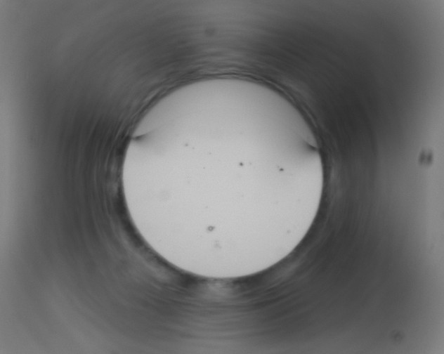 X0000113180121200910161341