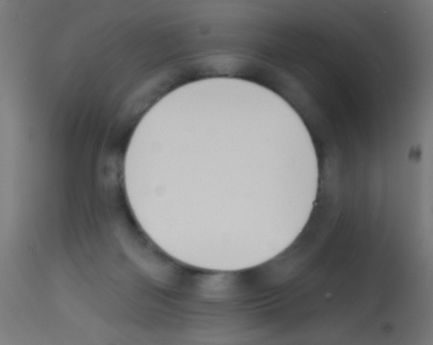 X0000113180122200910161341