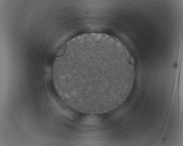 X0000113180123200910161341