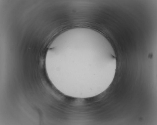 X0000113180124200910161341