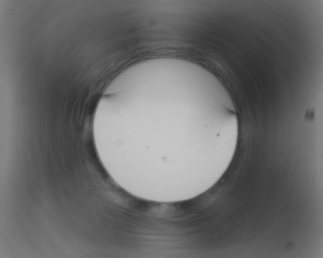 X0000113180125200910161341