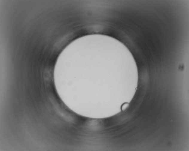 X0000113180126200910161341
