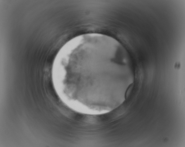 X0000113180127200910161341