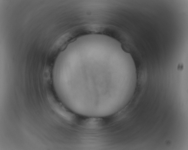 X0000113180128200910161341