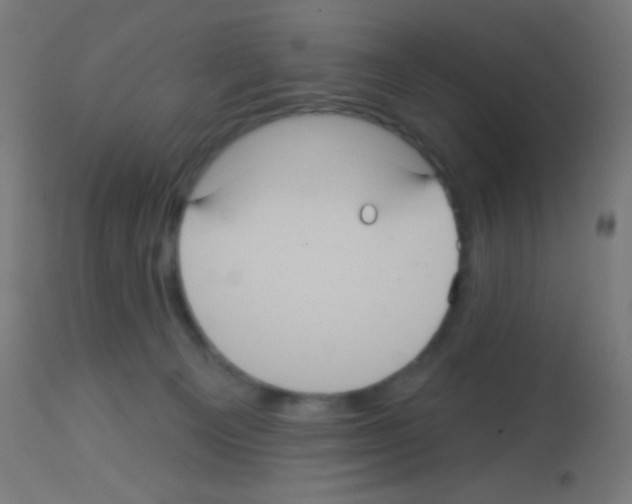 X0000113180129200910161341