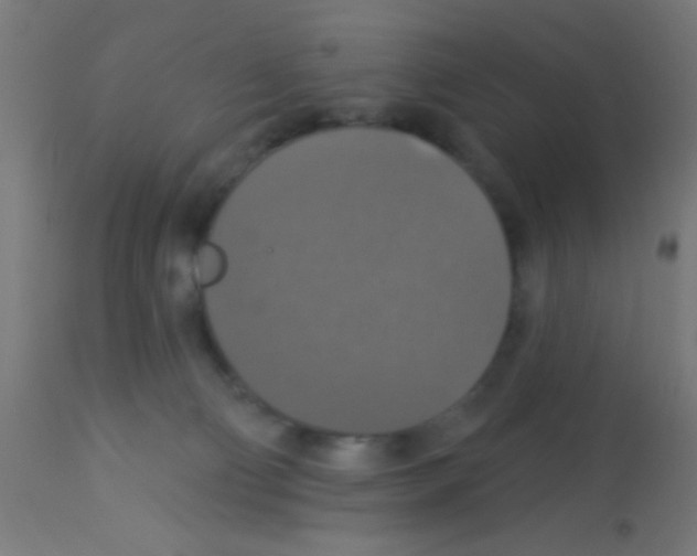 X0000113180130200910161341