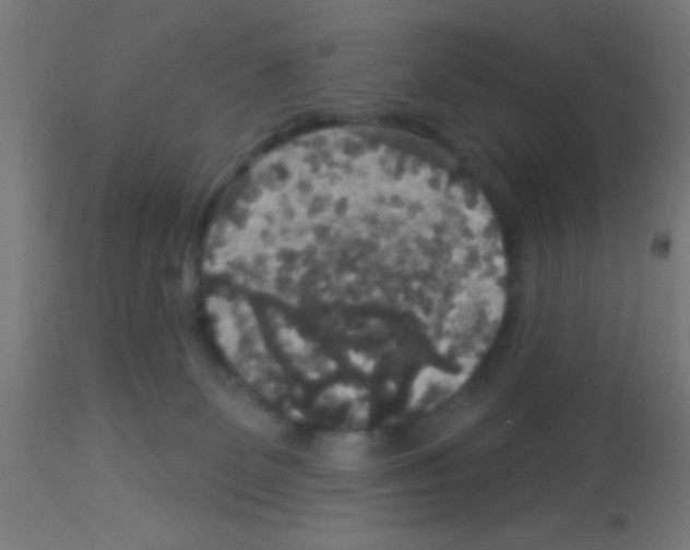 X0000113180131200910161341