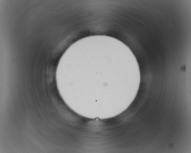 X0000113180133200910161341