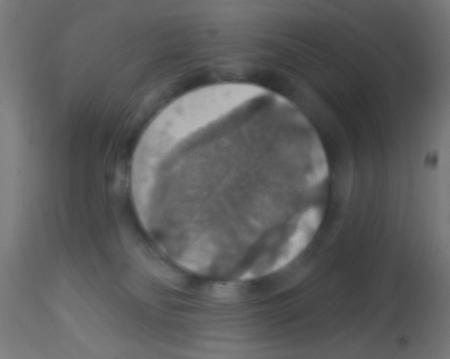 X0000113180134200910161341