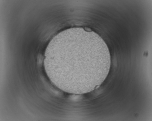 X0000113180135200910161341