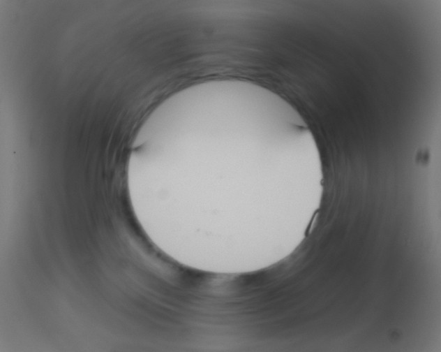 X0000113180136200910161341