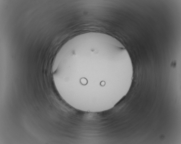 X0000113180137200910161341