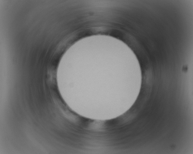 X0000113180138200910161341