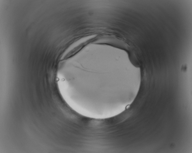 X0000113180139200910161341