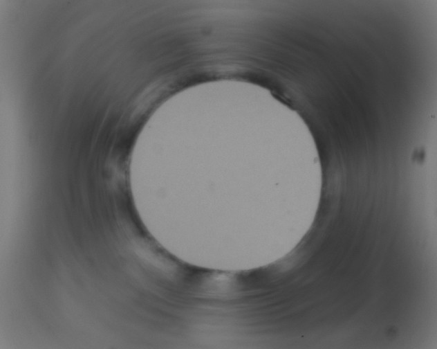 X0000113180140200910161341