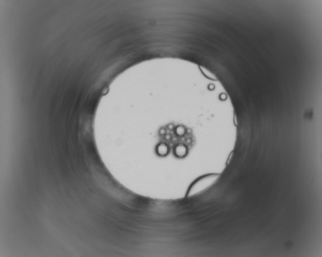 X0000113180141200910161341