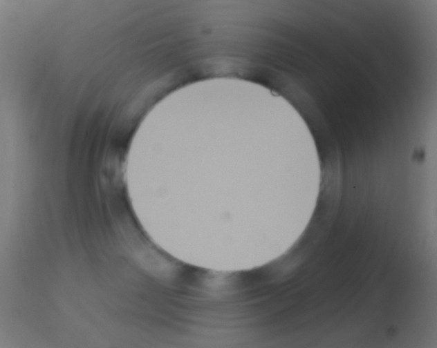 X0000113180142200910161341