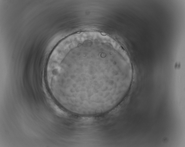 X0000113180145200910161340