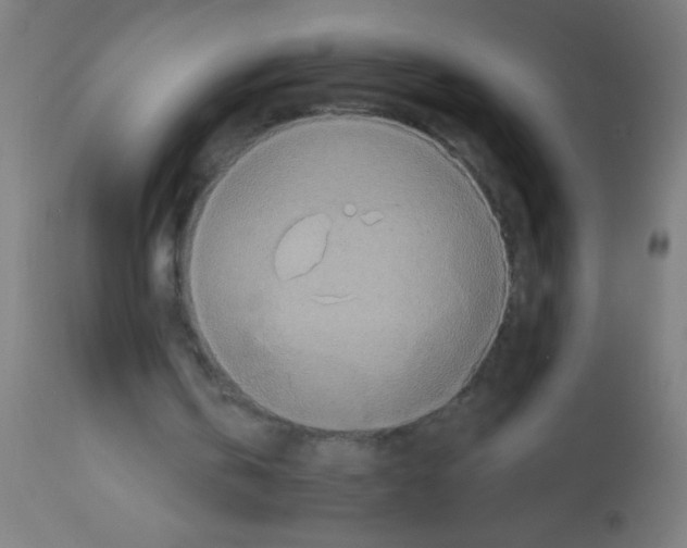 X0000113180146200910161340