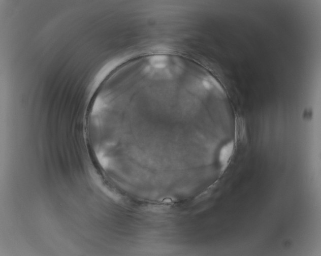 X0000113180147200910161340